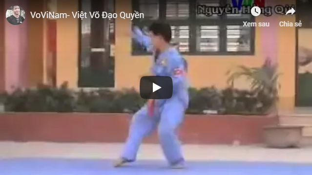 vovinam-viet-vo-dao-quyen-6