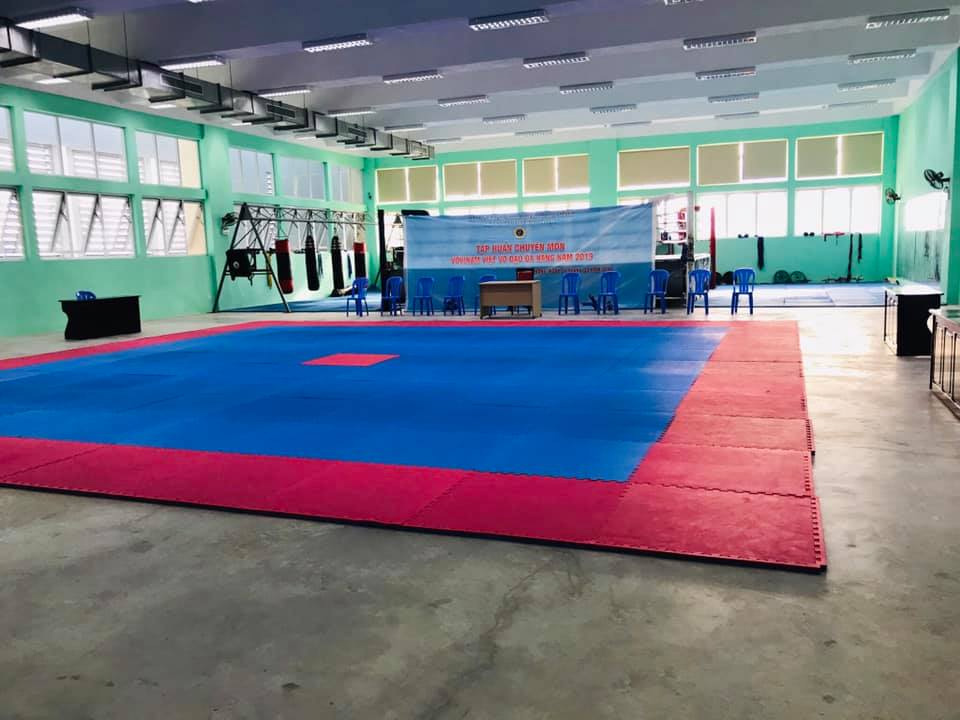 tap-huan-chuyen-mon-va-tuyen-chon-vdv-tham-du-giai-vo-dich-vovinam-toan-quoc-2019-2